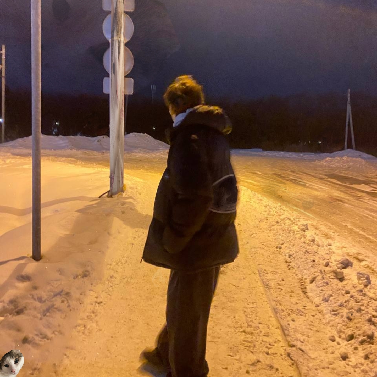 полнаятишина